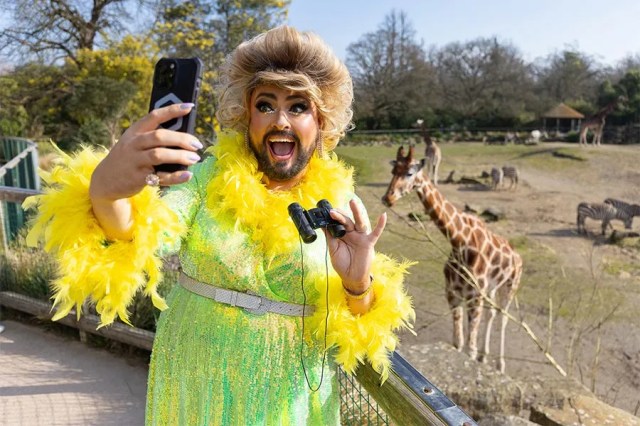 The Malahide Mammy. (Patrick Bolger)