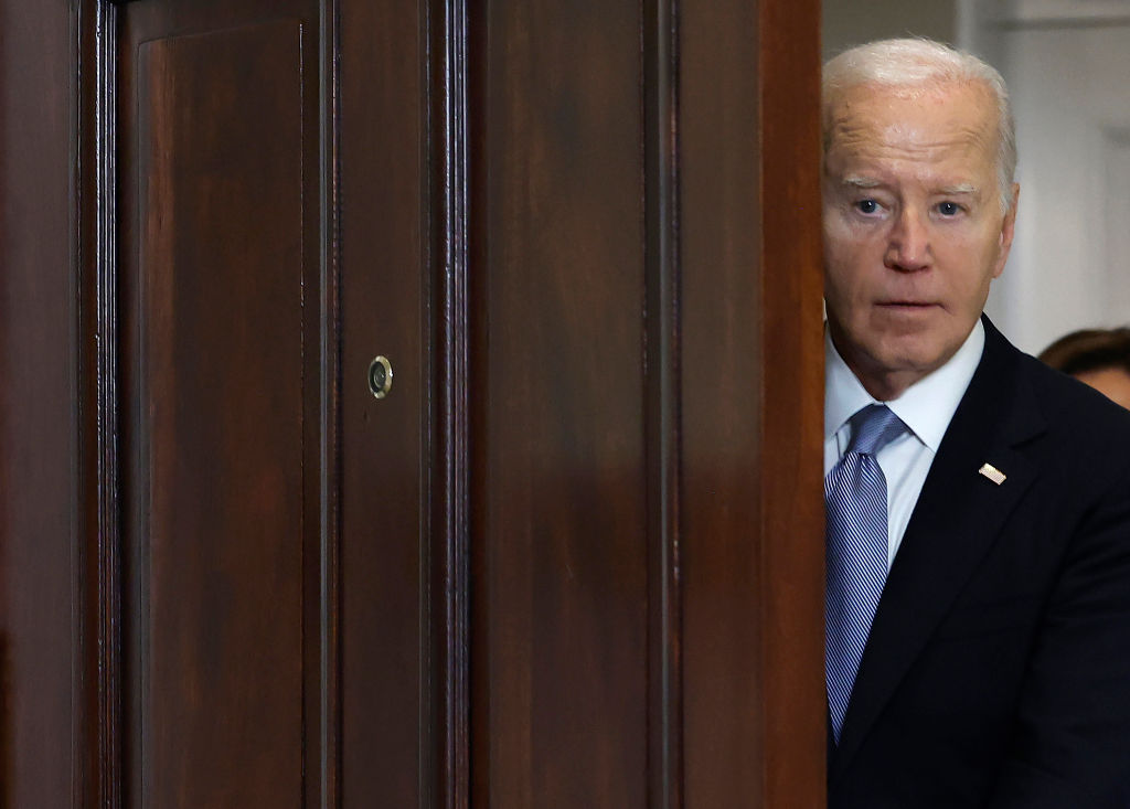 Biden's return to public life gives younger Democrats a common target for criticism of the establishment. Credit: Getty