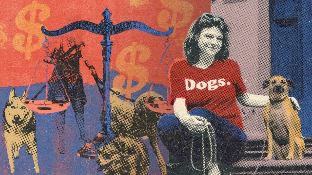 The chew toy that ate my small business