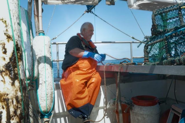 The Great Shellfish Apocalypse